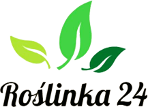 Roślinka24